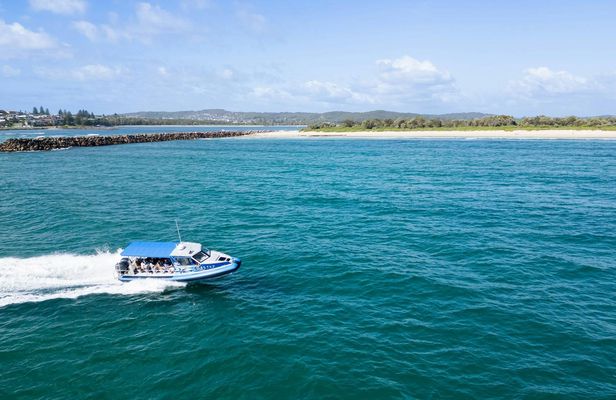 Ocean explorer tour