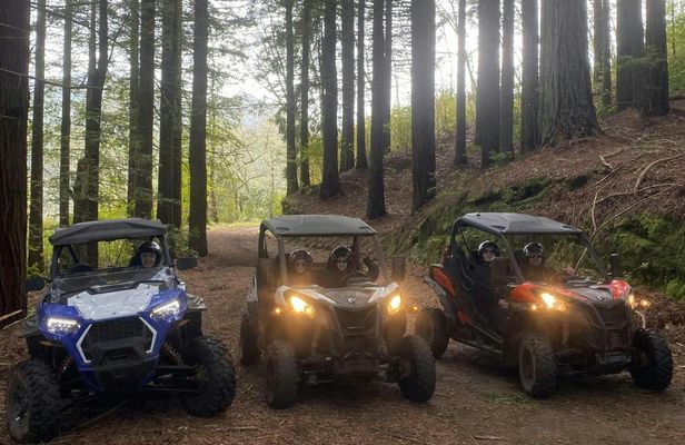 Private buggy off-road driving experience in Madeira
