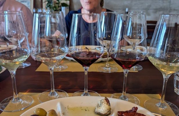 Wine and food tasting on Mount Etna vineyard from Taormina