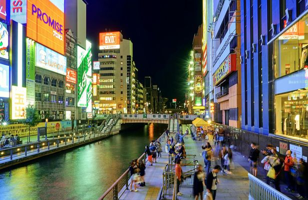 Personalized driving tour of Osaka with private guide