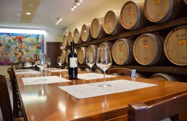 Negroamaro vineyard tour and wine tasting in Guagnano