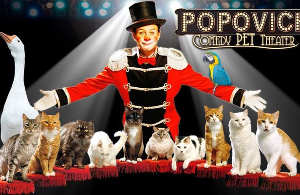 Tickets to Popovich Comedy Pet Theater