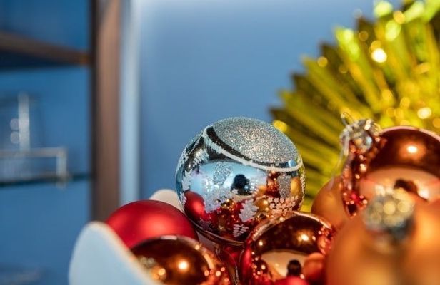 Christmas boat tour on a solar catamaran