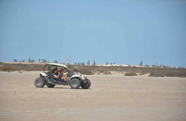 Buggy guided off-road adventure across Djerba