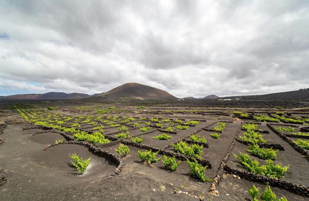Guided three-wheeled motorbike tour in Lanzarote