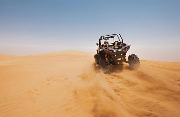 Morning or afternoon camel ride and buggy adventure