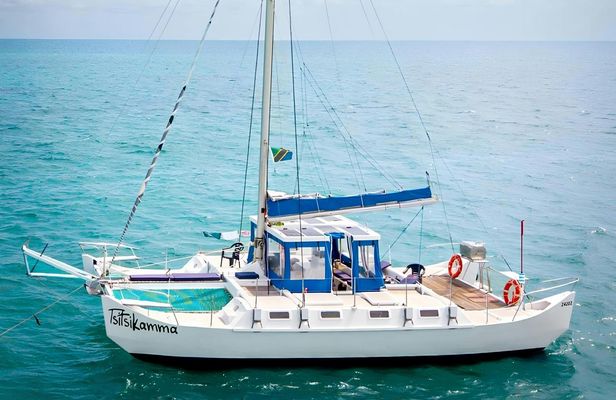 Zanzibar catamaran and snorkelling tour to Mnemba Marine Park