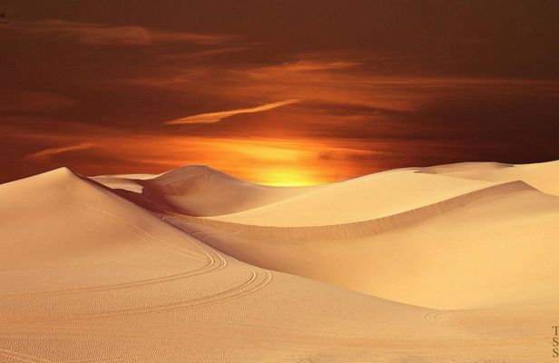 4x4 Djerba desert adventure with filming locations and desert dining