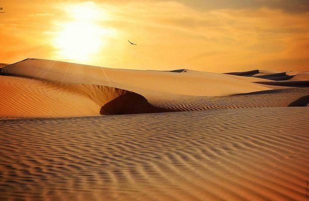 4x4 Djerba desert adventure with filming locations and desert dining