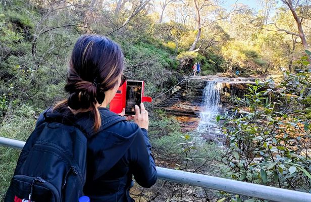 Blue Mountains Waterfalls Full-Day Tour with Lunch and Dinner