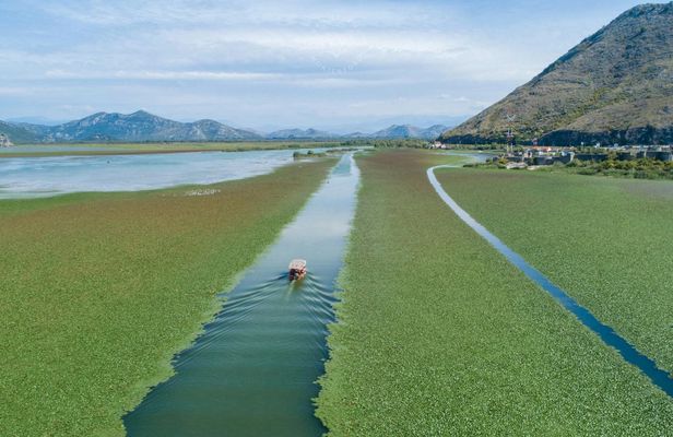 Lake Skadar boat tour with private transport from Ulcinj