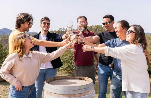 Montserrat full-day tour with lunch and winery visit