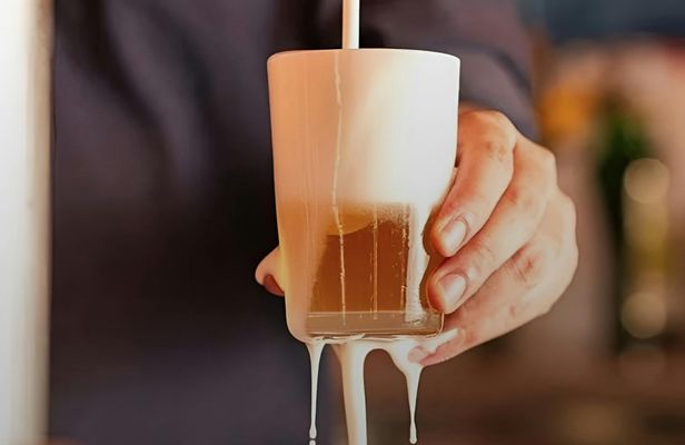 Albanian craft beer and meze tasting experience in Tirana