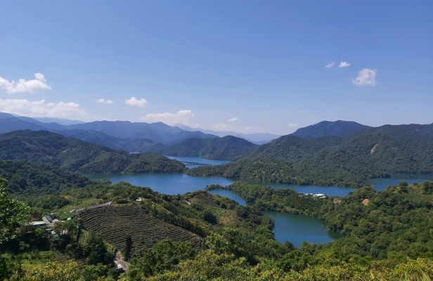 Pinglin Tea Culture and Maokong Day Tour from Taipei