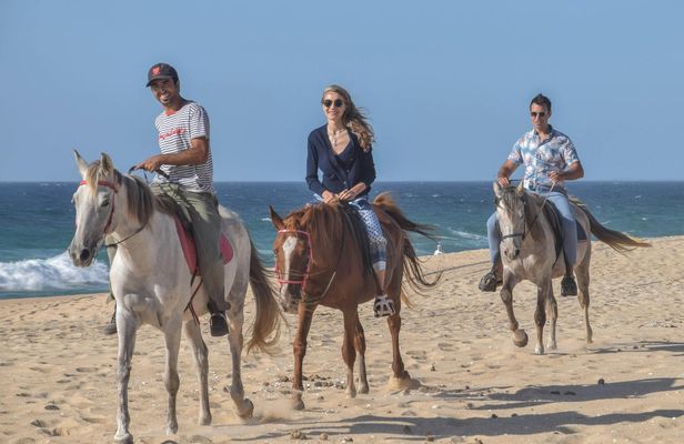 Horse riding private tour in Comporta natural reserve