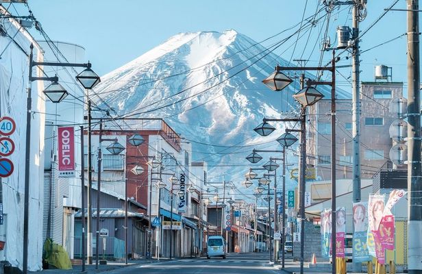 Guided day-tour to the highlights of Mount Fuji region