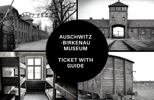 Entrance ticket and guided tour of Auschwitz-Birkenau