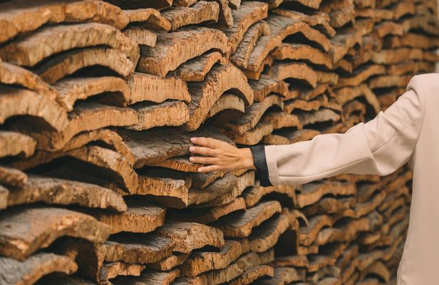 Cork Museum tickets at WOW Porto
