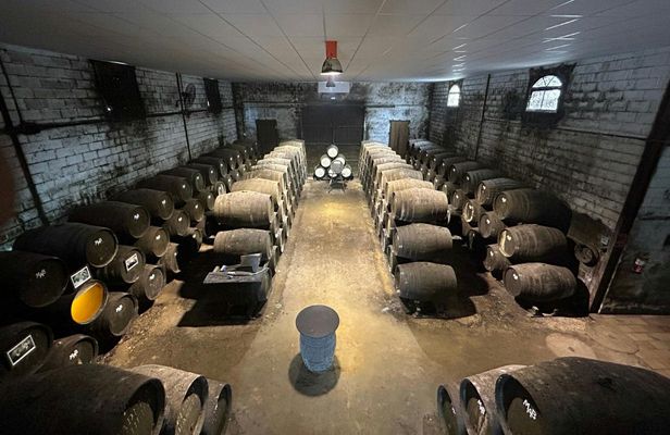 Winery tour and wine tasting in Chiclana de la Frontera in Cádiz