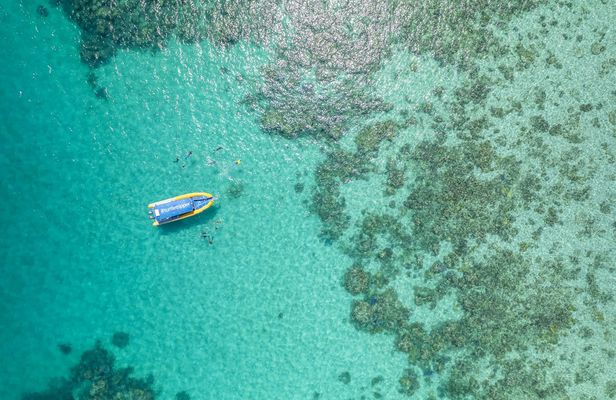Half-day ocean safari Great Barrier Reef adventure