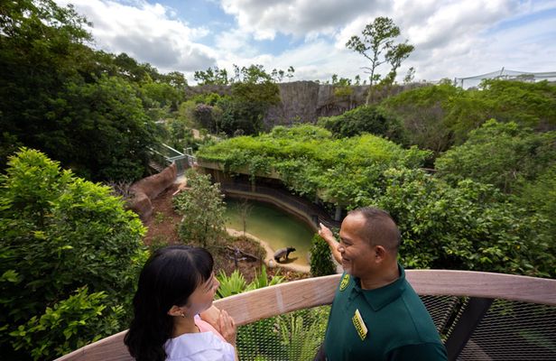 Rainforest Wild Asia