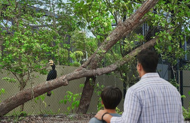 Entrance tickets to Bird Paradise