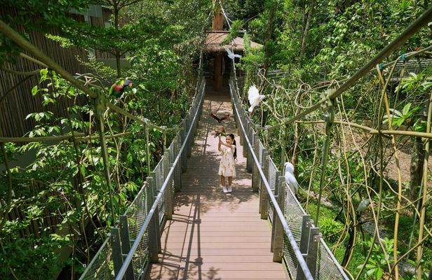 Entrance tickets to Bird Paradise