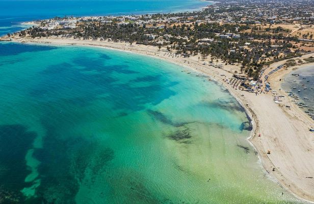 Djerba Lagoon discovery tour on camel or horseback
