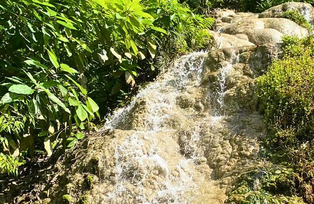 Half-day private van charter with driver to Bua Thong Waterfall