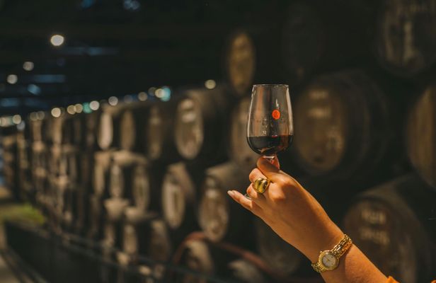 Taylor’s Cellar self-guided tour with Wine Museum experience