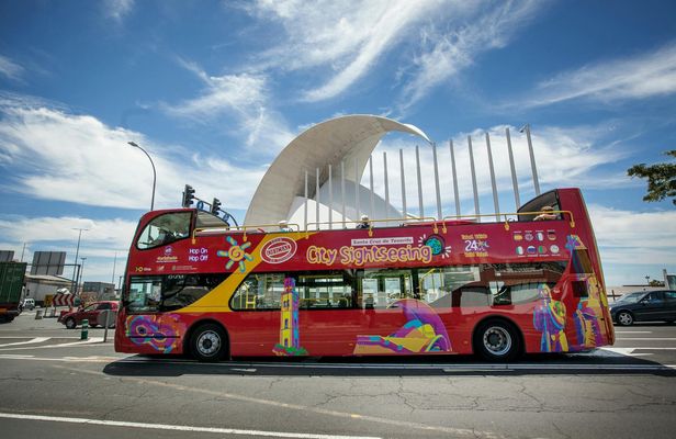 Santa Cruz City Sightseeing 24-hour hop-on hop-off bus ticket