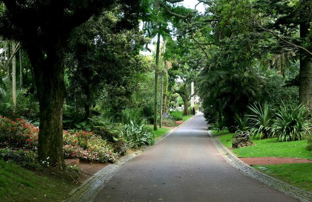 São Miguel Island Carvão Cave and gardens guided tour