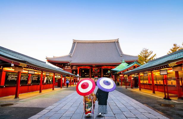 Tokyo full-day tour with private driver and local guide