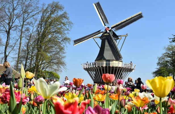 Half-day tour to Keukenhof Gardens with optional canal cruise