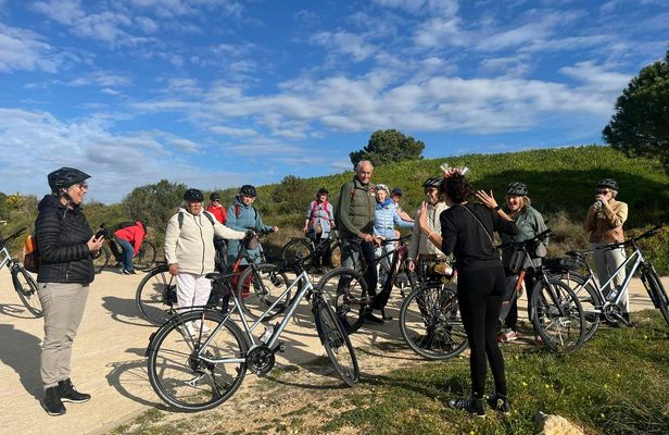 Guided bike tour through Ria Formosa Natural Park