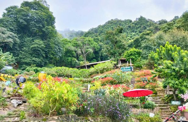 Half-day tour to Doi Suthep and White Hmong Hill Village