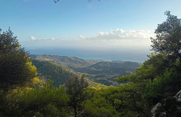 Viannos, Simi forest and ancient sanctuary tour with a local guide