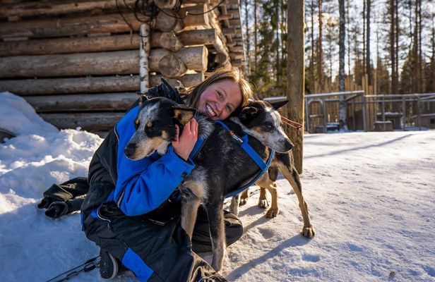 Self-Driving Husky Mushing Winter Adventure with BBQ from Rovaniemi