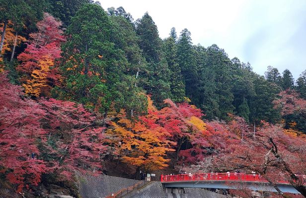 Eihōji and Kōrankei guided day tour