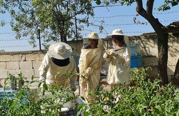Beekeeping experience and honey tasting in Cappadocia