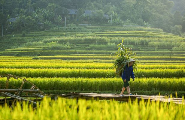 Full day excursion to Pu Luong with pick-up from Hanoi