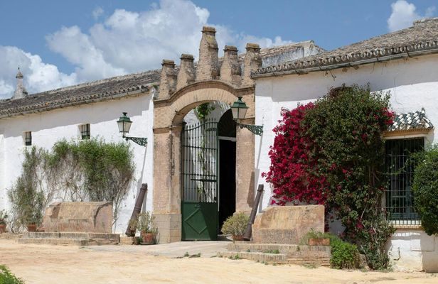 Seville Bodegas Góngora sensory tour with tasting experience