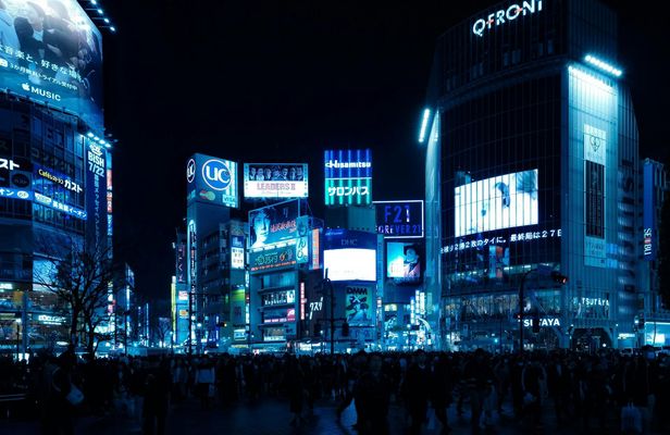 Shibuya walking tour with skyline city night views