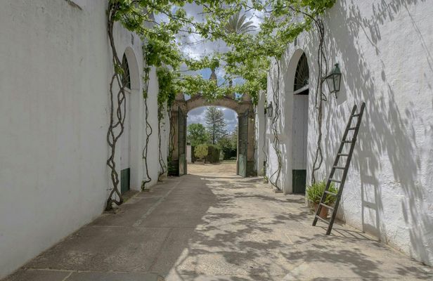 Seville Bodegas Góngora premium tour with tasting experience