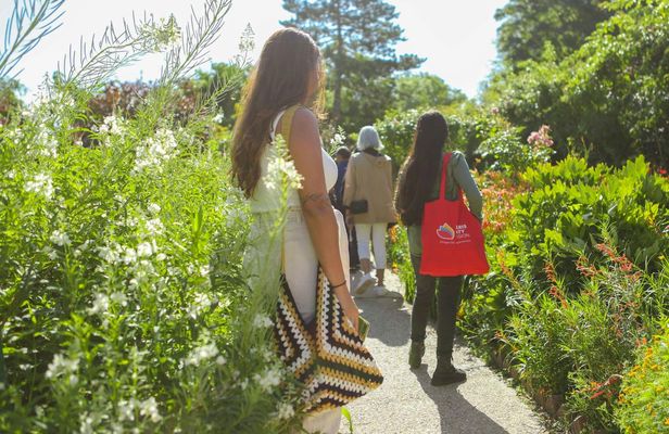 Excursion to Giverny Monet's Gardens and Versailles Palace with audio guide and lunch