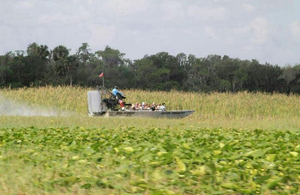 Florida wildlife adventure with Airboat Ride and Gatorland entry