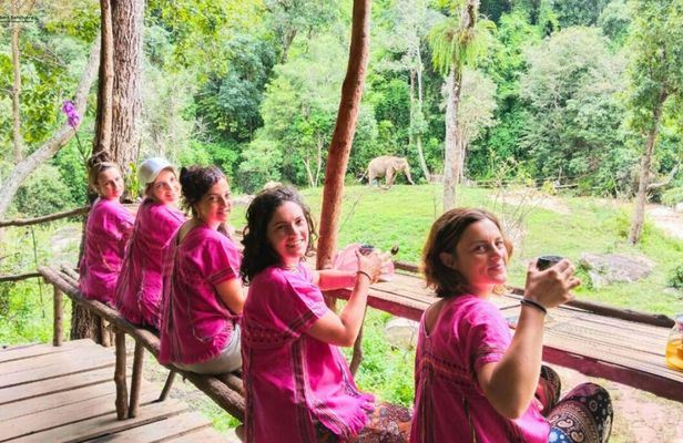 Half day tour to admire elephants and enjoy Thai nature