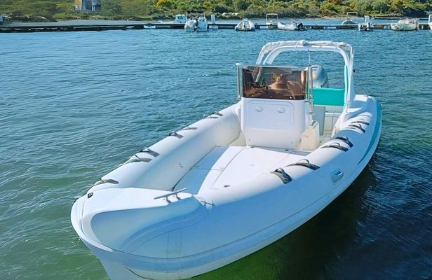 Dolphin watching RIB tour to Capo Figari from Olbia