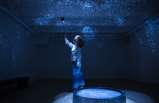 Museum Villa entrance ticket