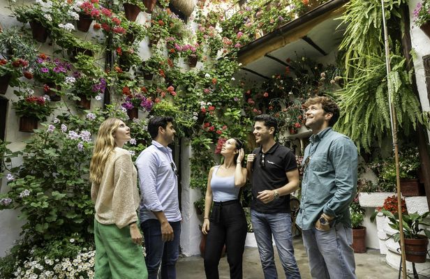 Córdoba guided tour from Madrid by high-speed train